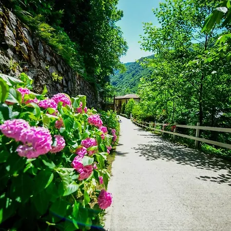 Naturkoy Sapanca