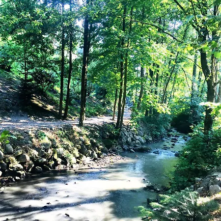 Naturkoy Sapanca Hotel Sakarya (Marmara)