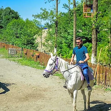 Hotel Naturkoy Sapanca Sakarya (Marmara)