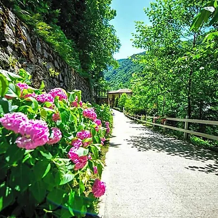 Naturkoy Sapanca *