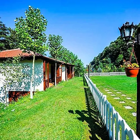 Naturkoy Sapanca Hotel Sakarya (Marmara)